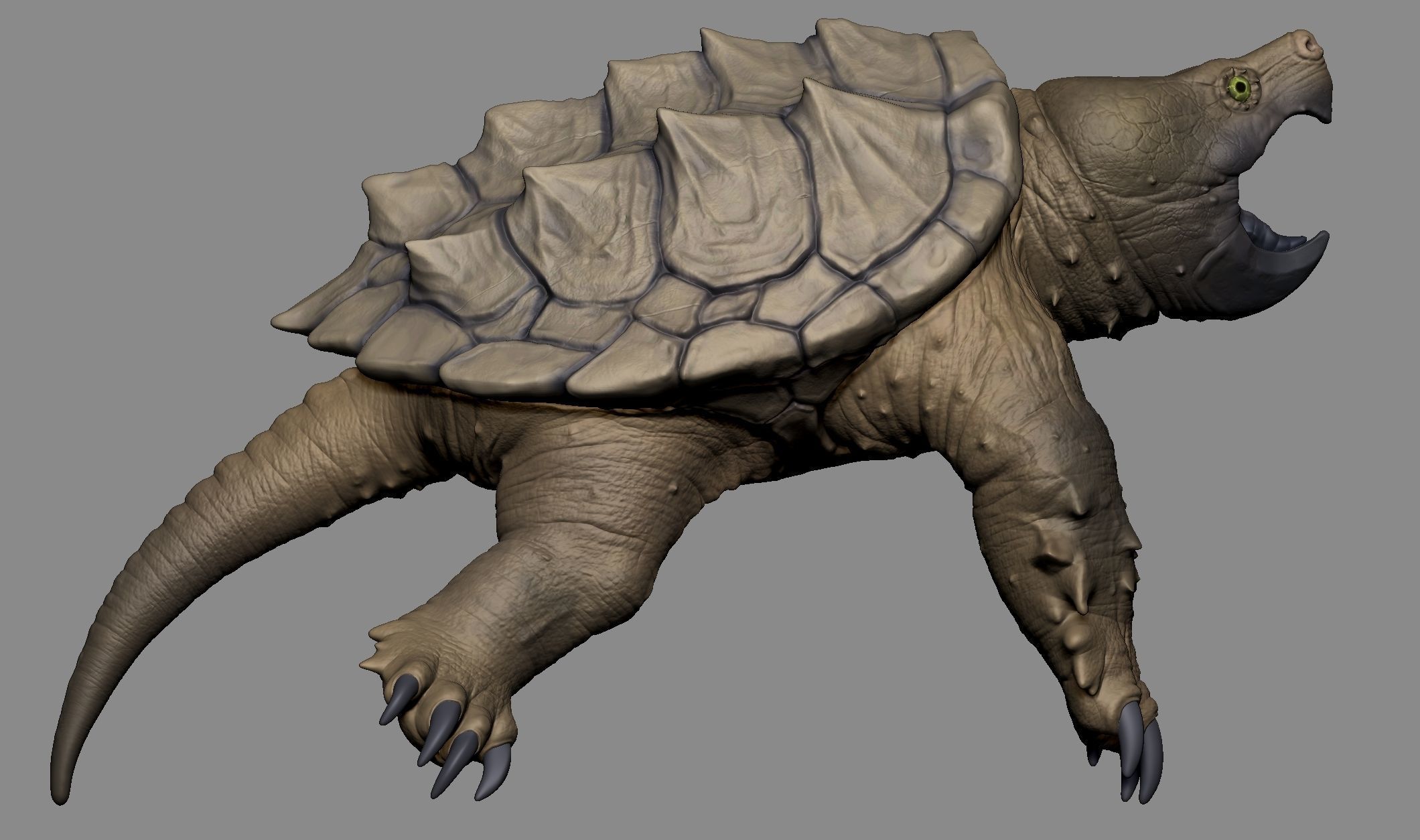 Alligator Snapping Turtle 3D print model_4
