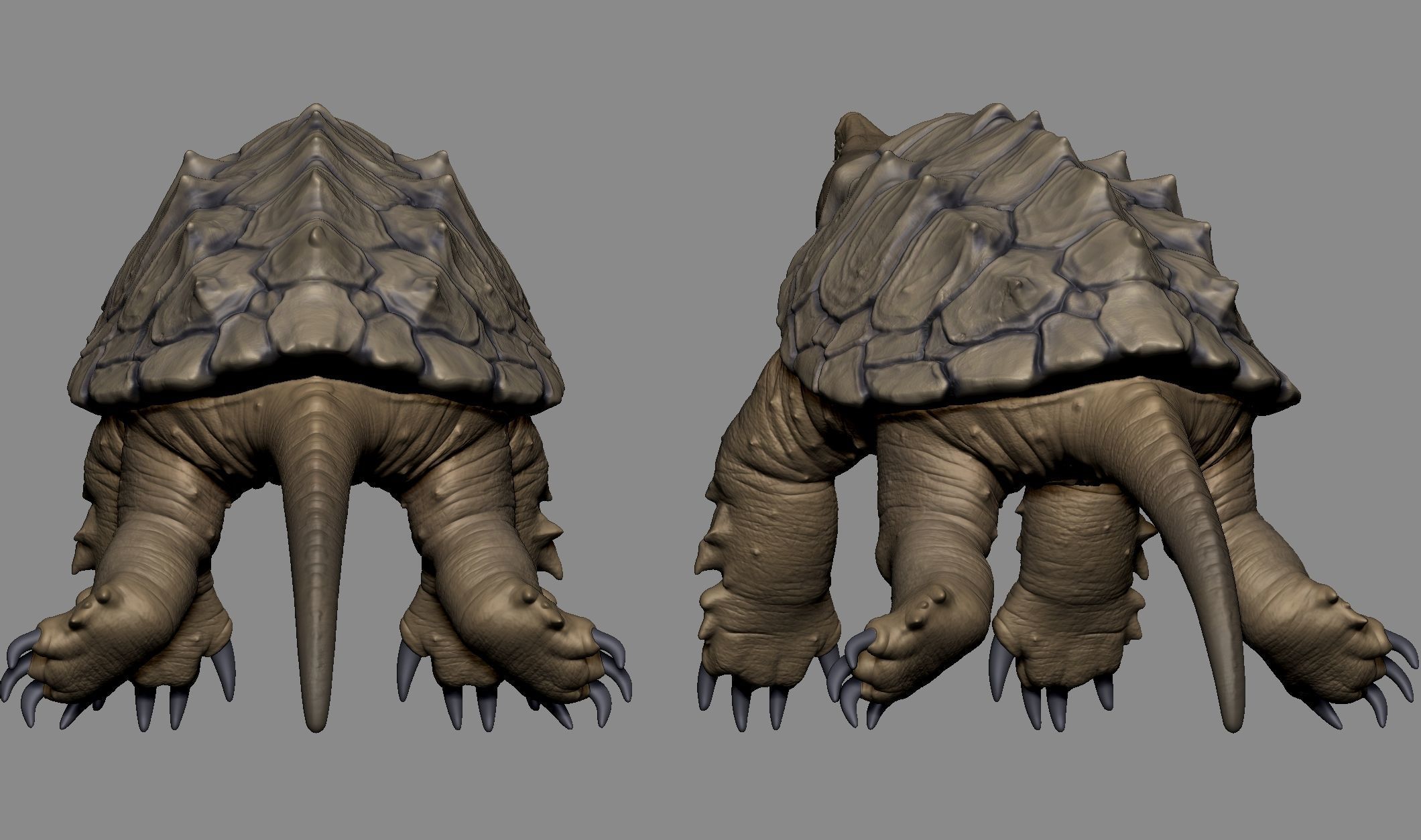 Alligator Snapping Turtle 3D print model_8