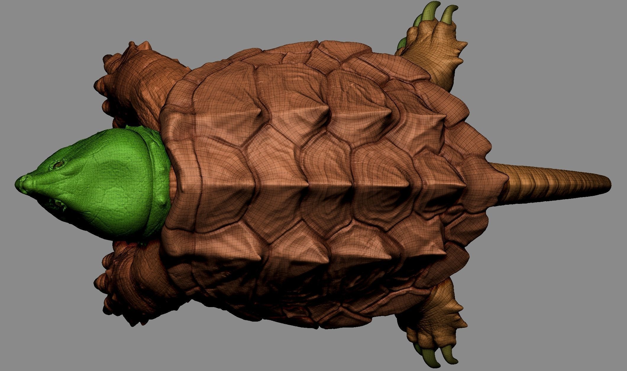 Alligator Snapping Turtle 3D print model_14