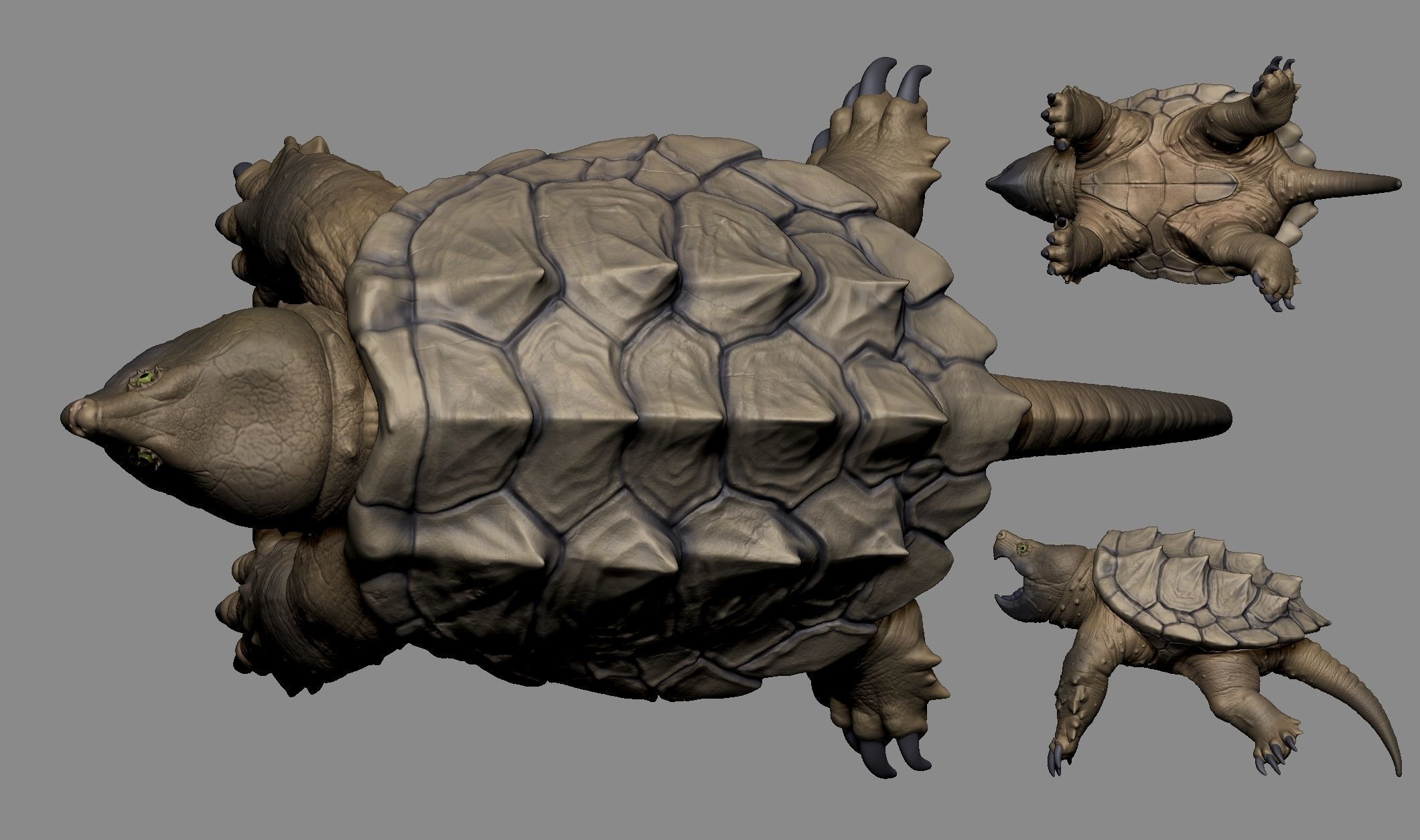 Alligator Snapping Turtle 3D print model_2