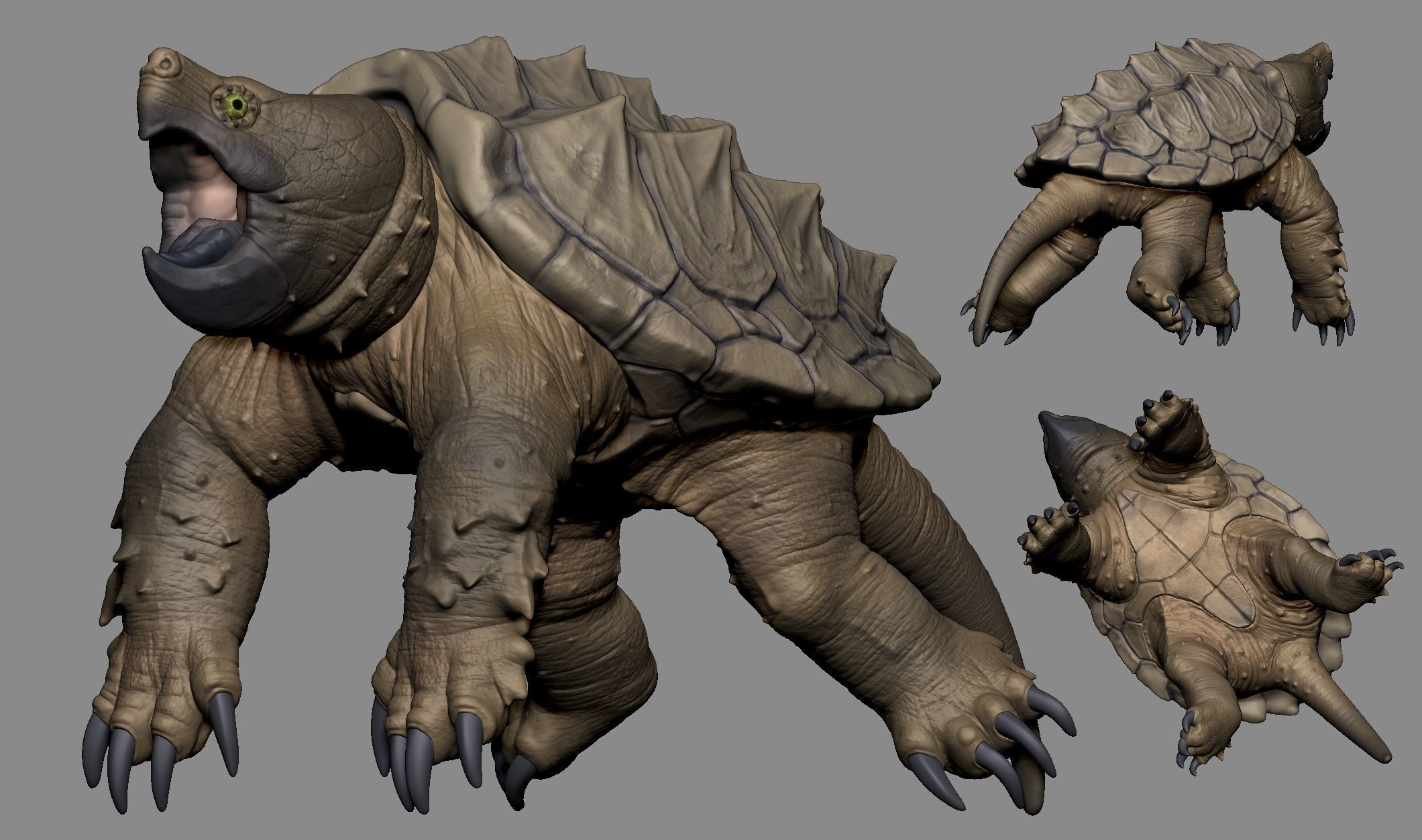 Alligator Snapping Turtle 3D print model_3