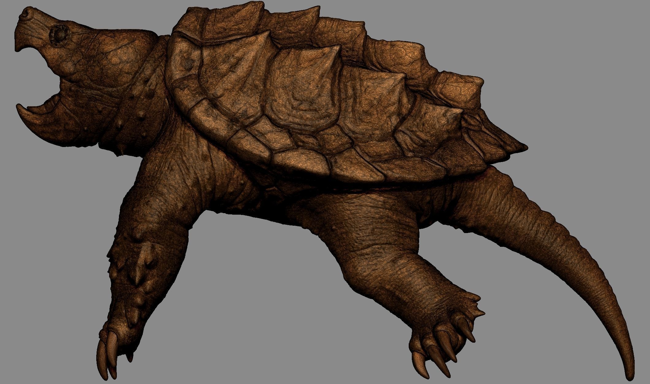 Alligator Snapping Turtle 3D print model_15