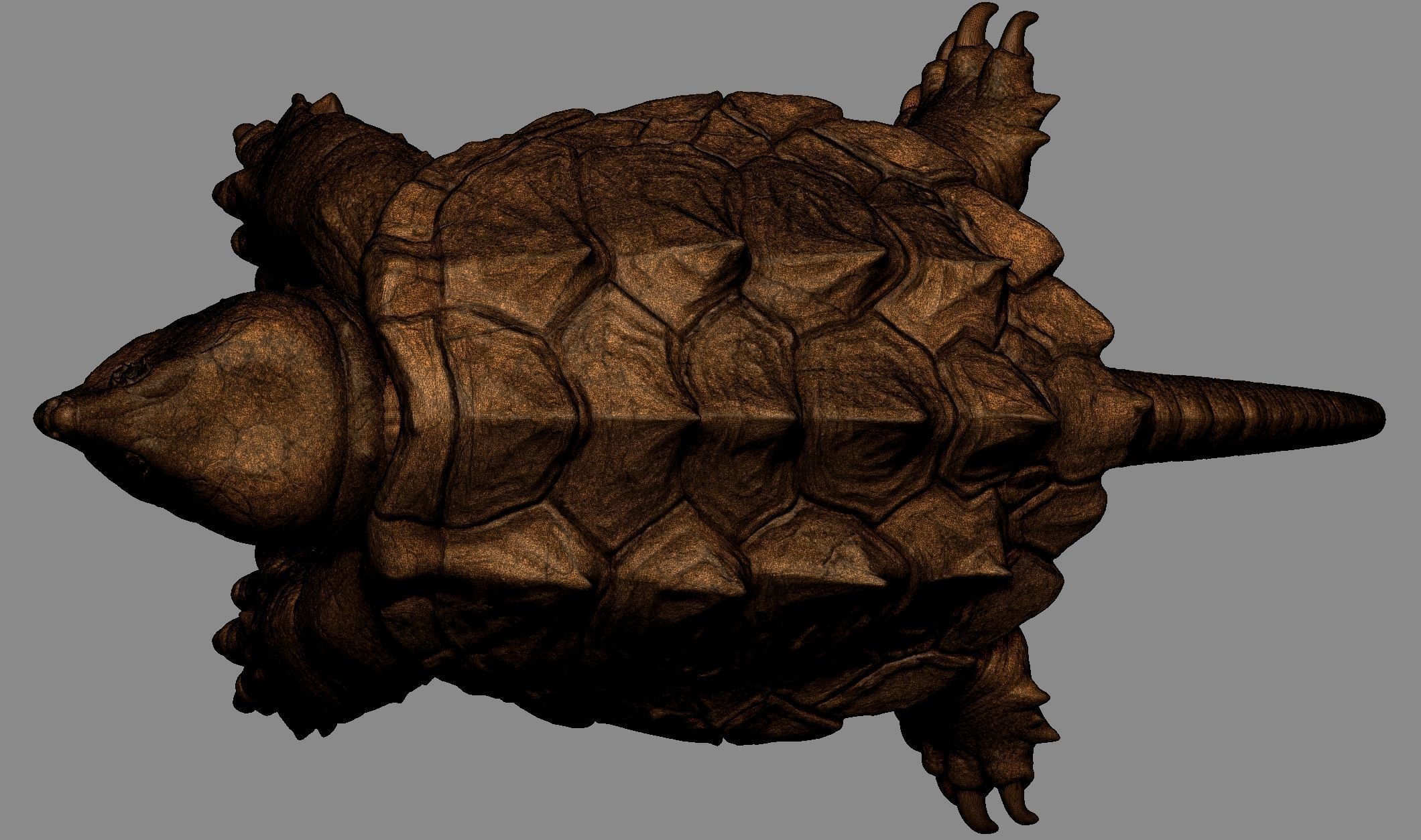 Alligator Snapping Turtle 3D print model_16