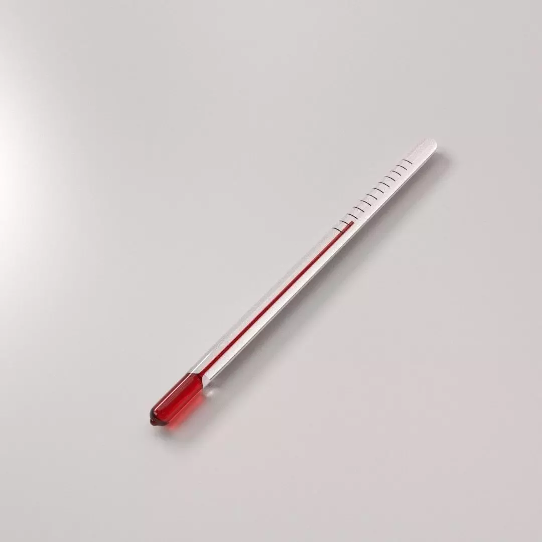 Thermometer 3D model