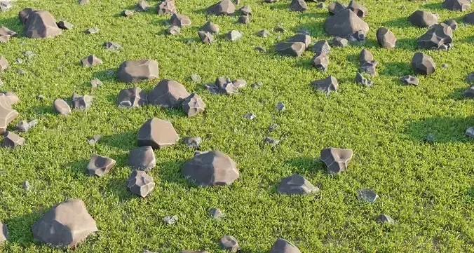 Rocks set grassy field with in it
