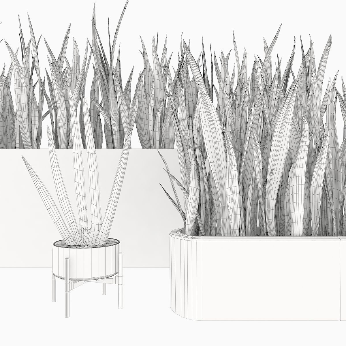 Sansevieria 4 planter with grass in it 3D model_4
