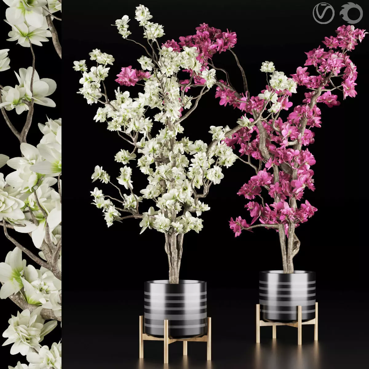 magnolia vol 1 3D model