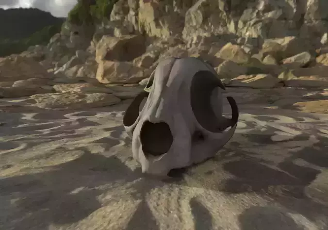  3D Real Cat Skull for GameDev 3D model