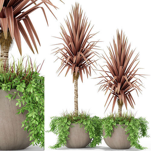 Plants collection 390 3D model