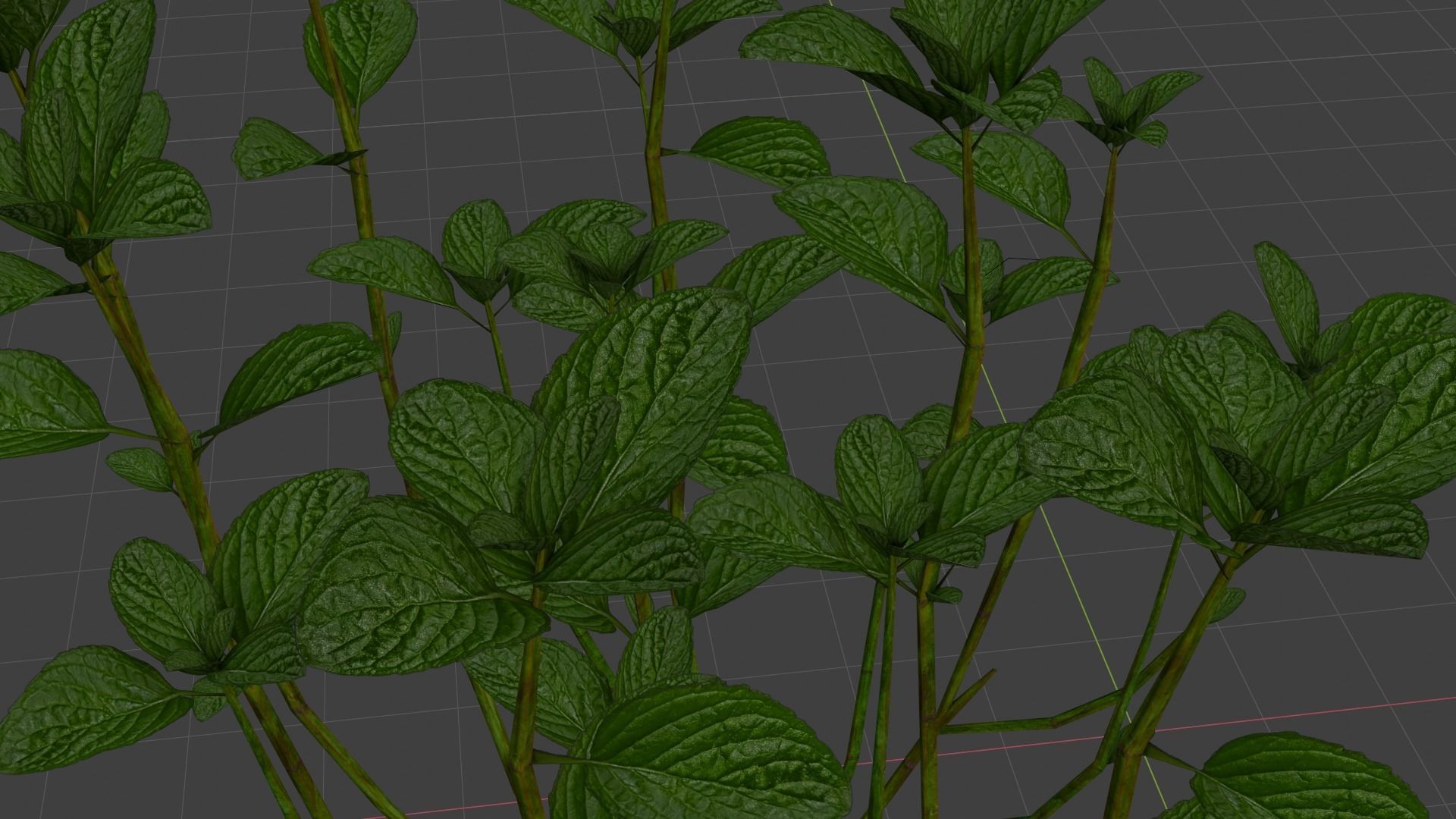 Plant Mentha Spicata - Game Asset - LowPoly Low-poly 3D model_2