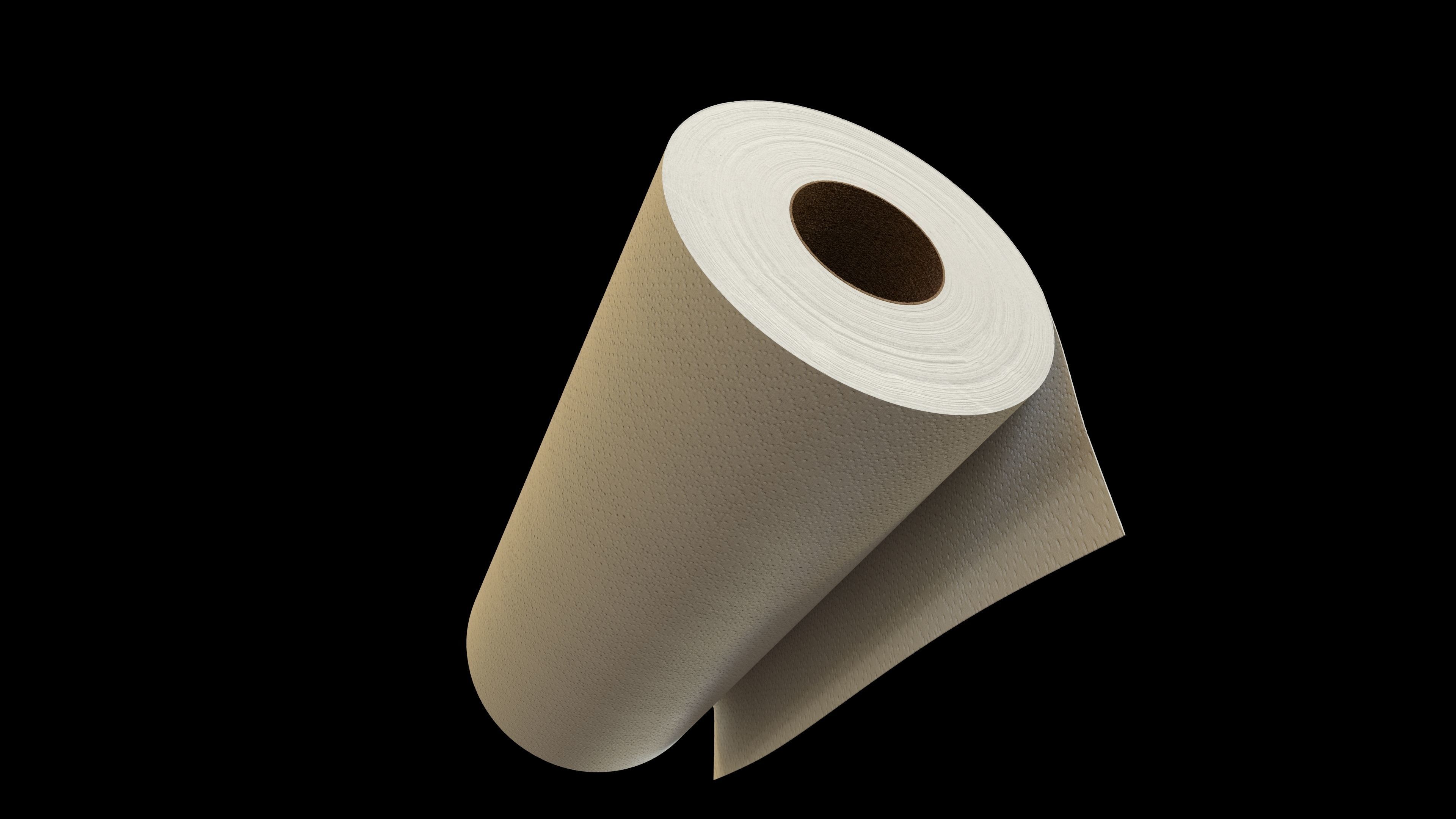Paper Towel Roll 3D model_4