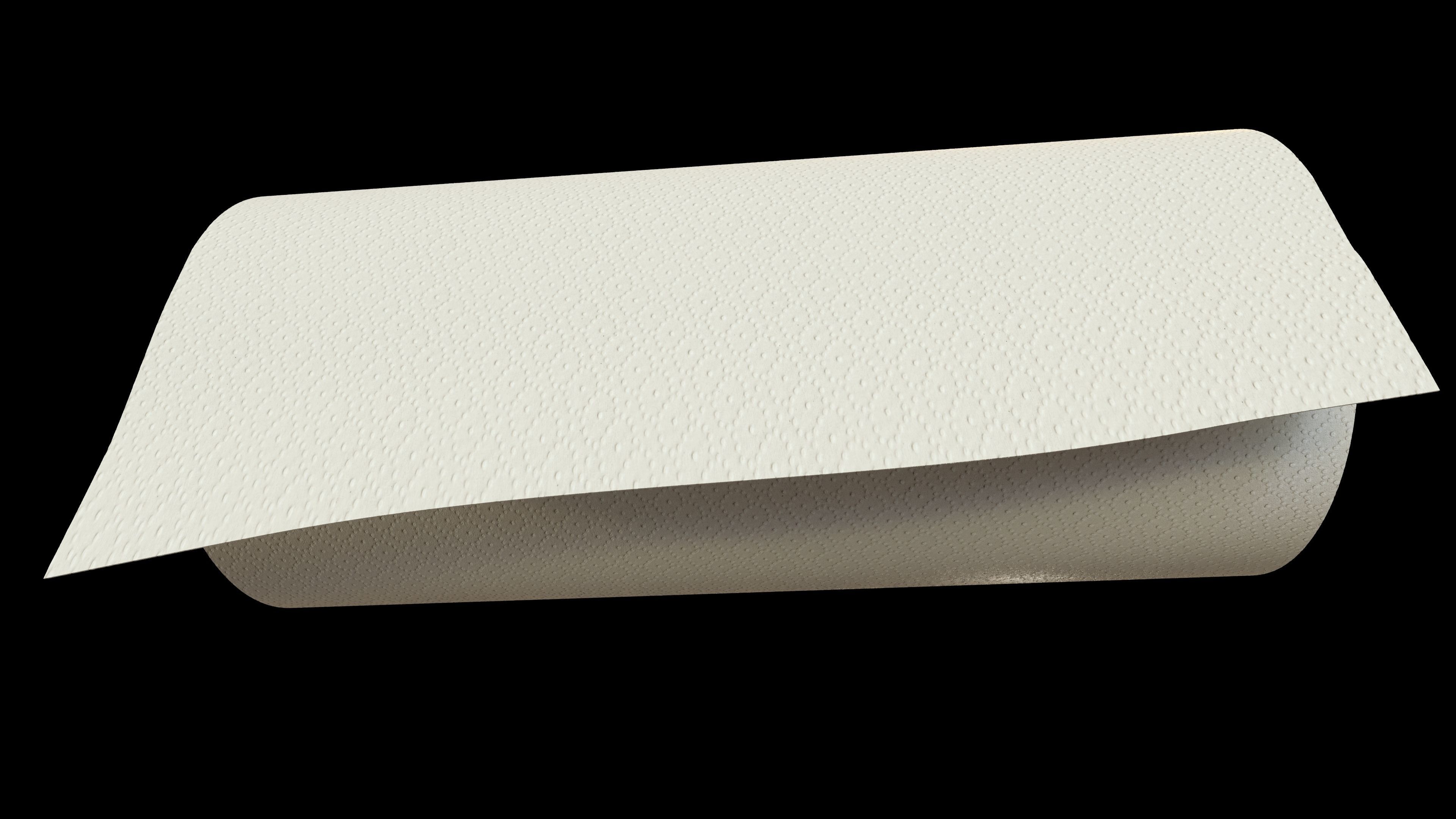 Paper Towel Roll 3D model_1