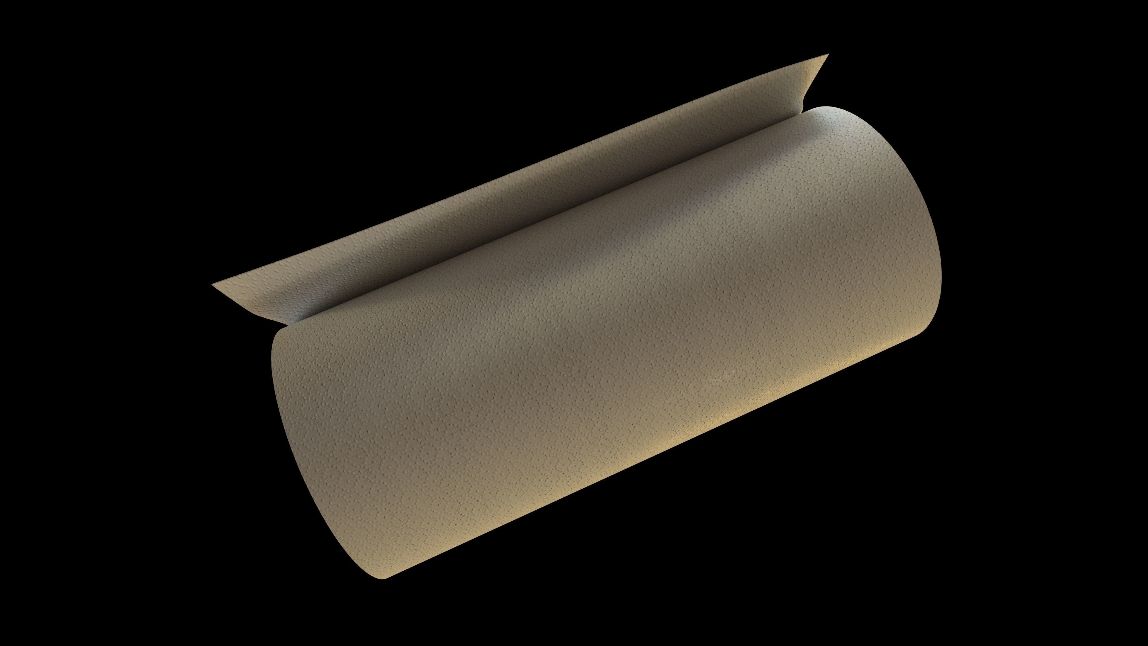 Paper Towel Roll 3D model_3