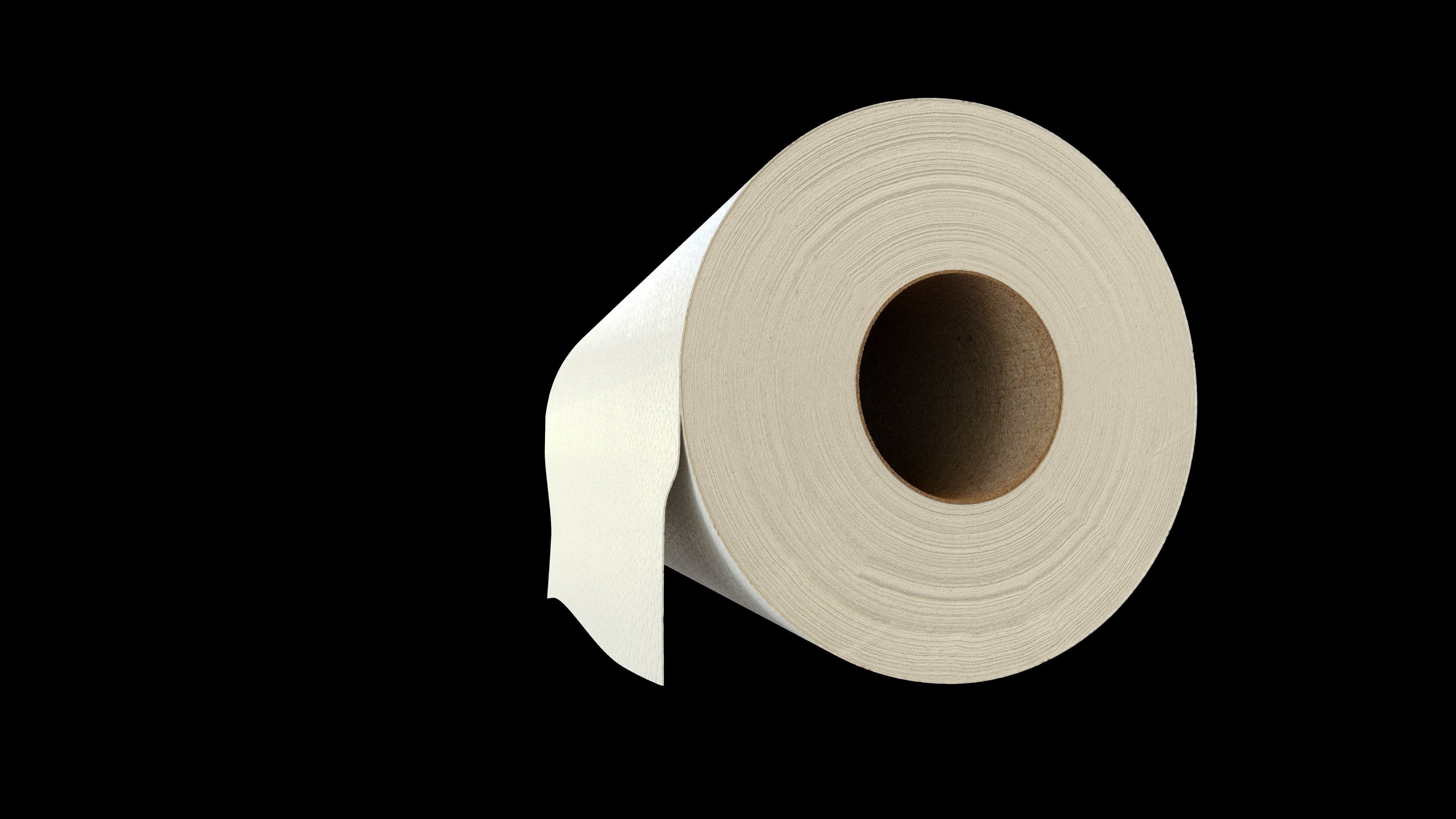 Paper Towel Roll 3D model_2