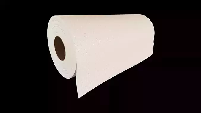 Paper Towel Roll