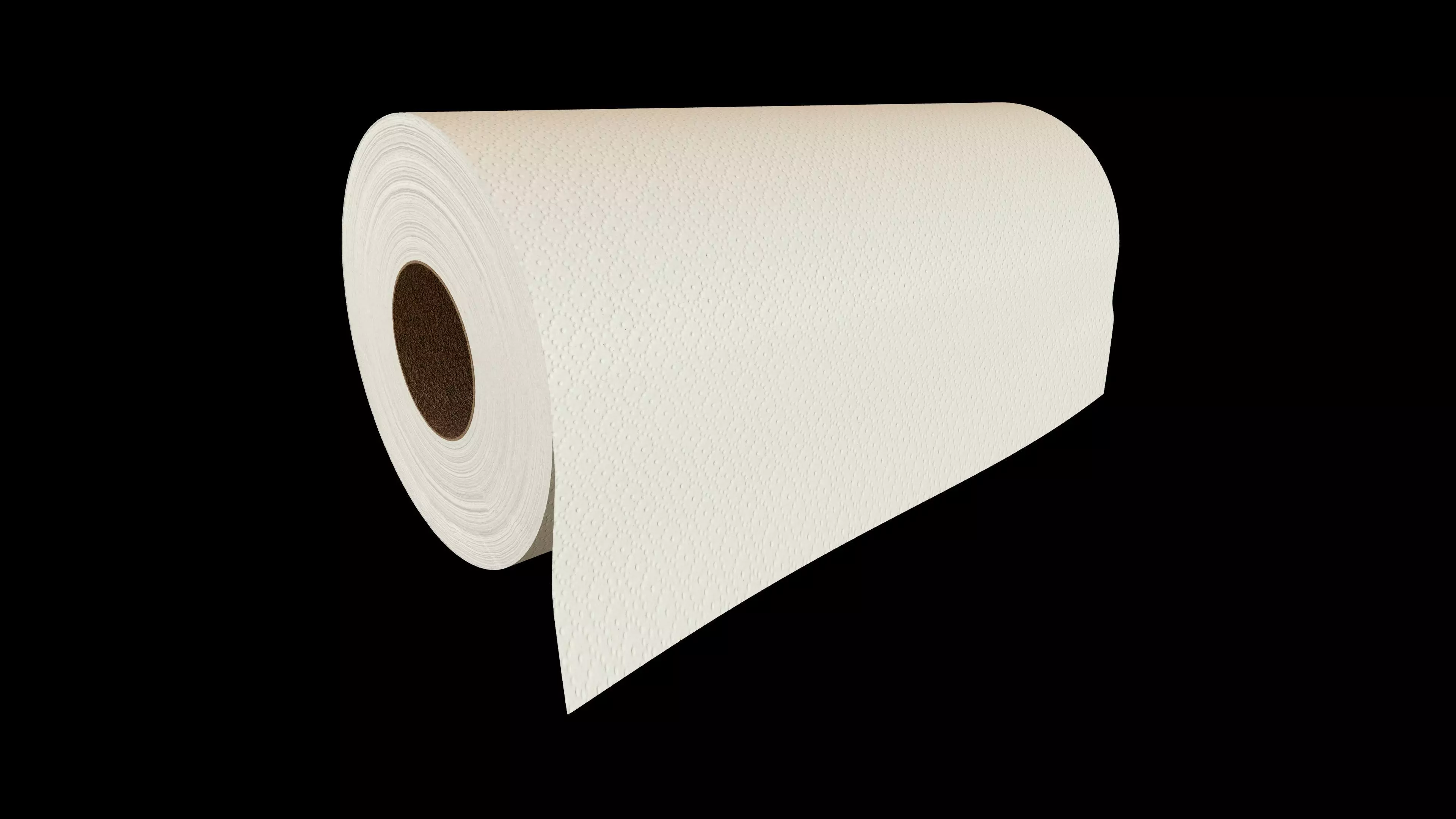Paper Towel Roll 3D model_0