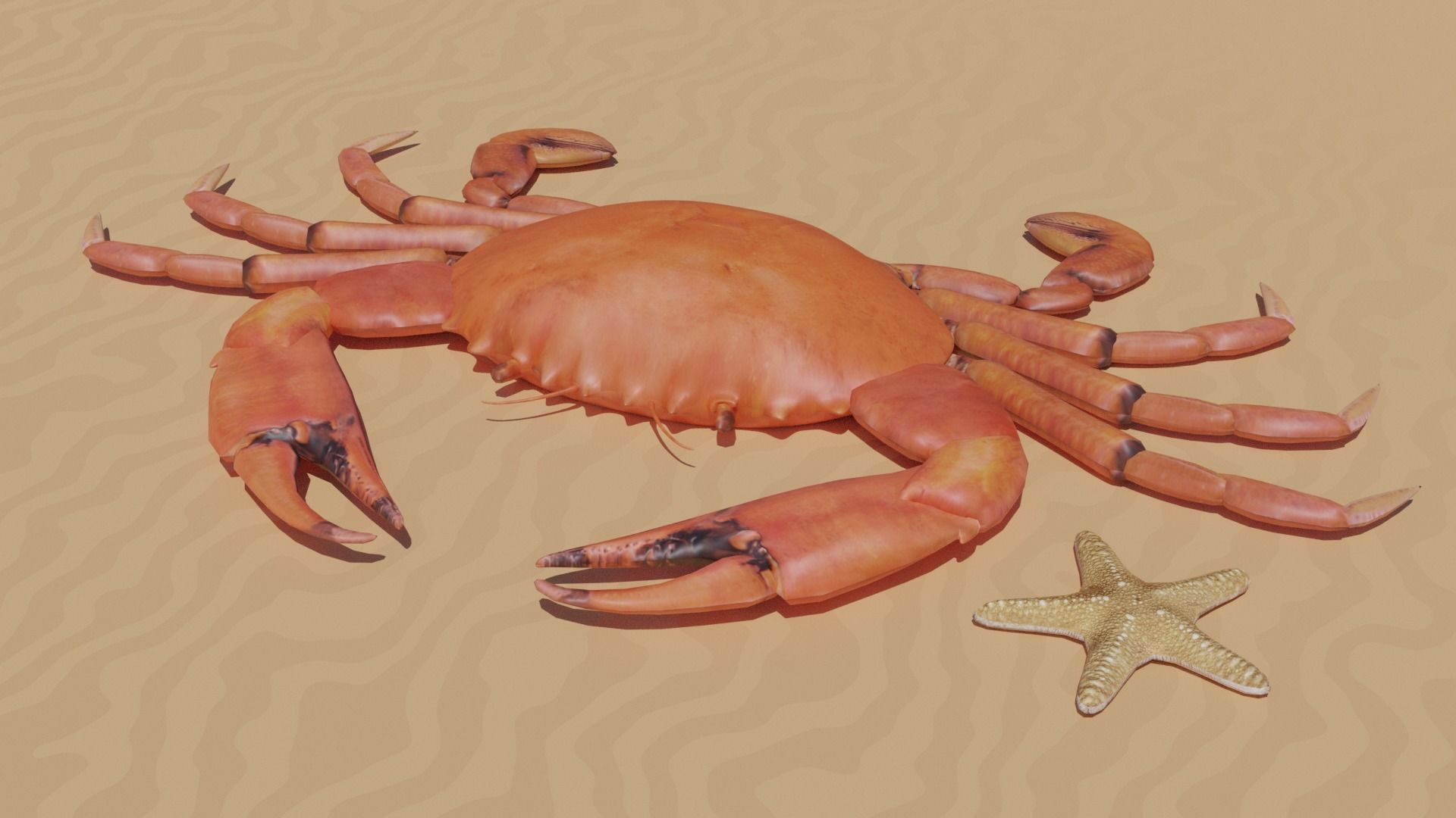 Sea Creatures Low-poly 3D model_1