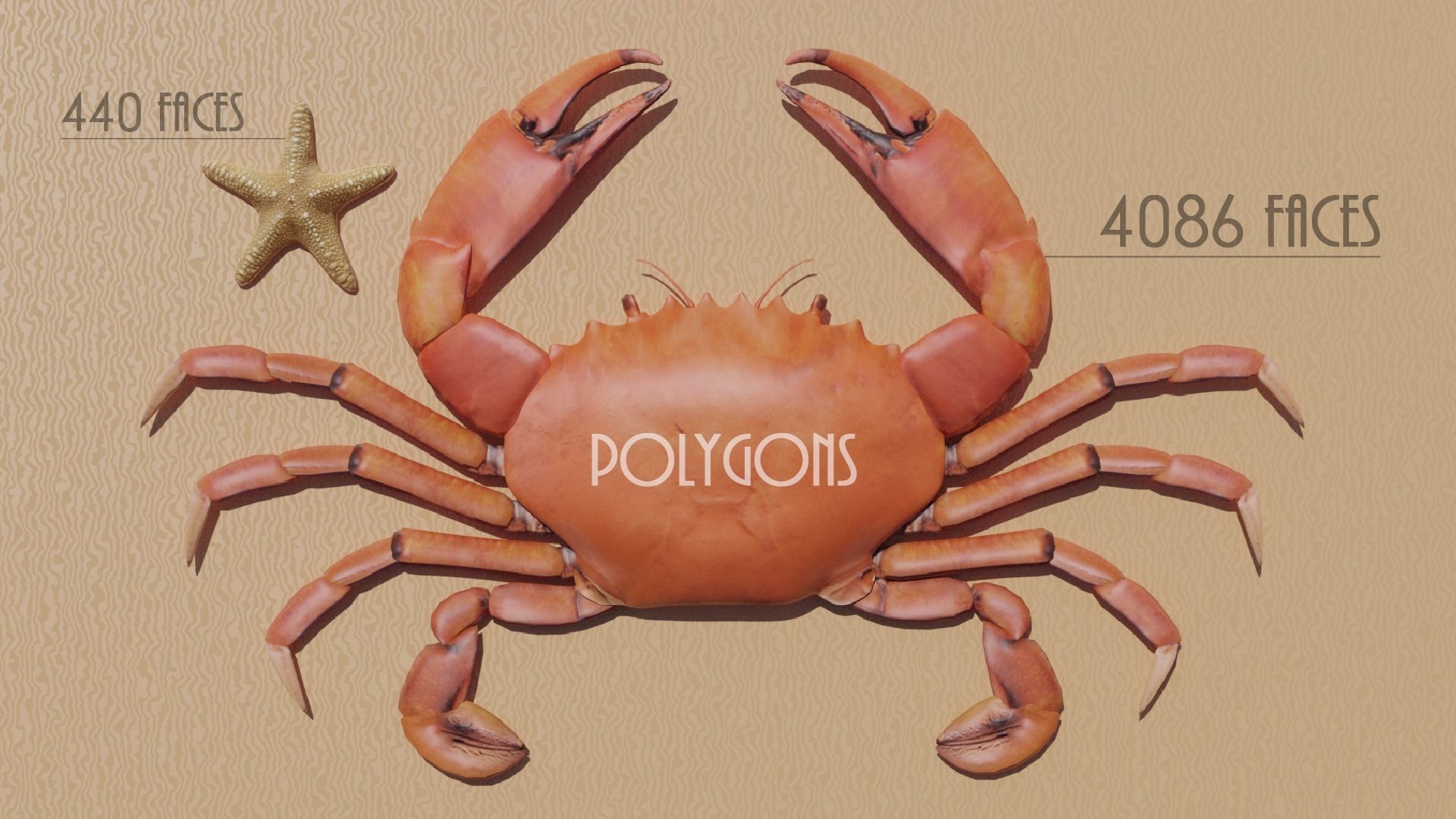 Sea Creatures Low-poly 3D model_4