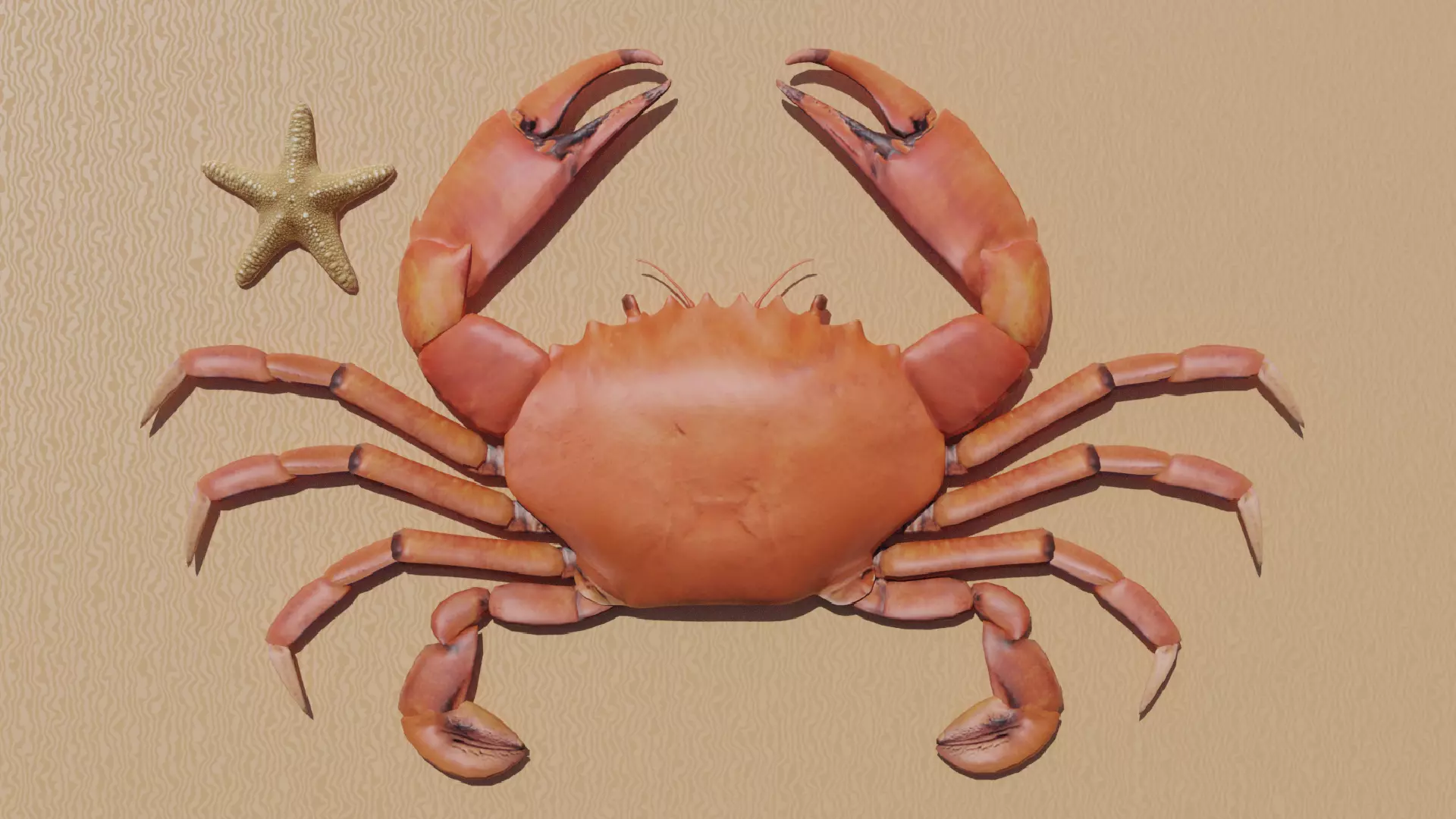 Sea Creatures Low-poly 3D model_0