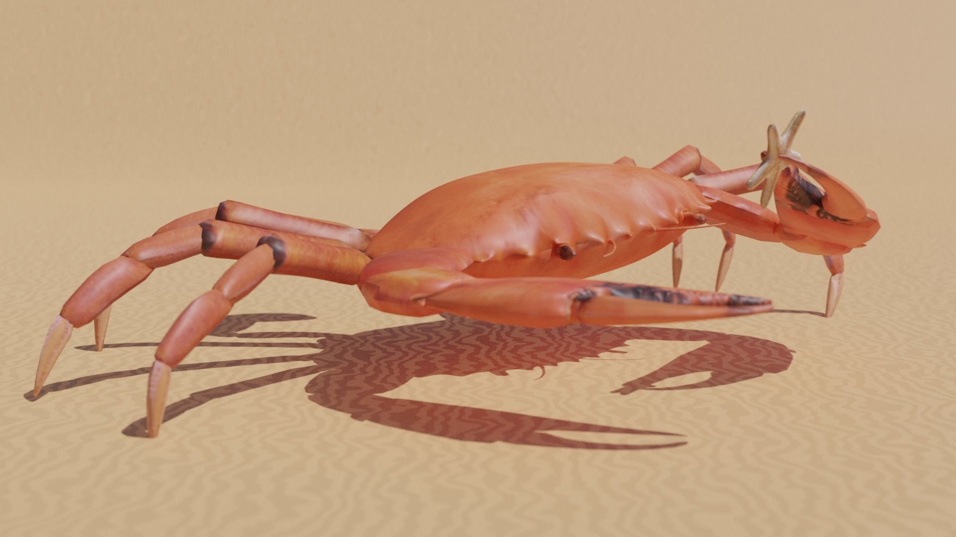 Sea Creatures Low-poly 3D model_9