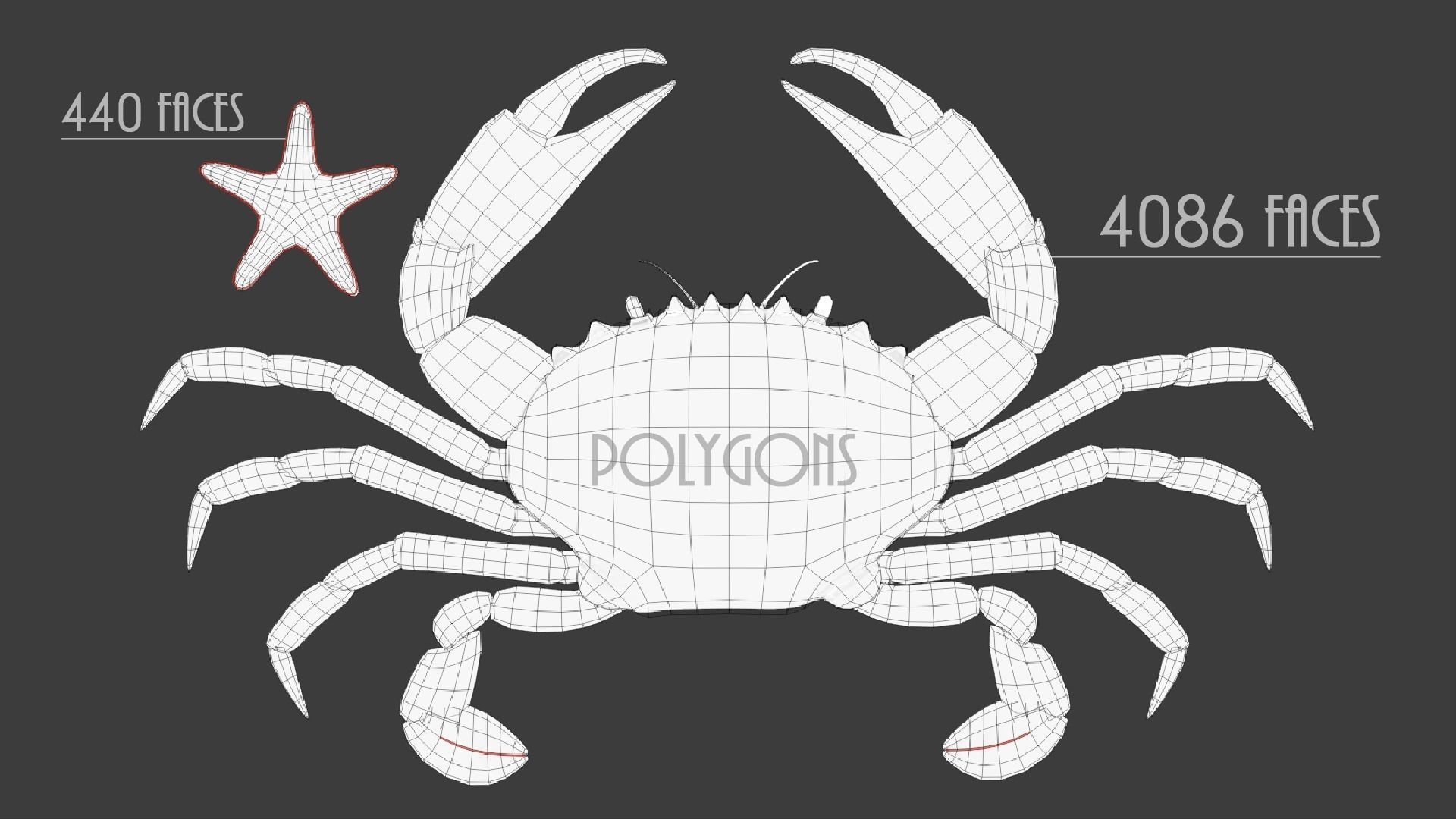 Sea Creatures Low-poly 3D model_5