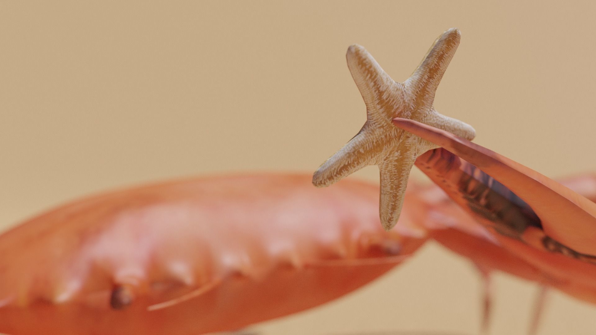 Sea Creatures Low-poly 3D model_3