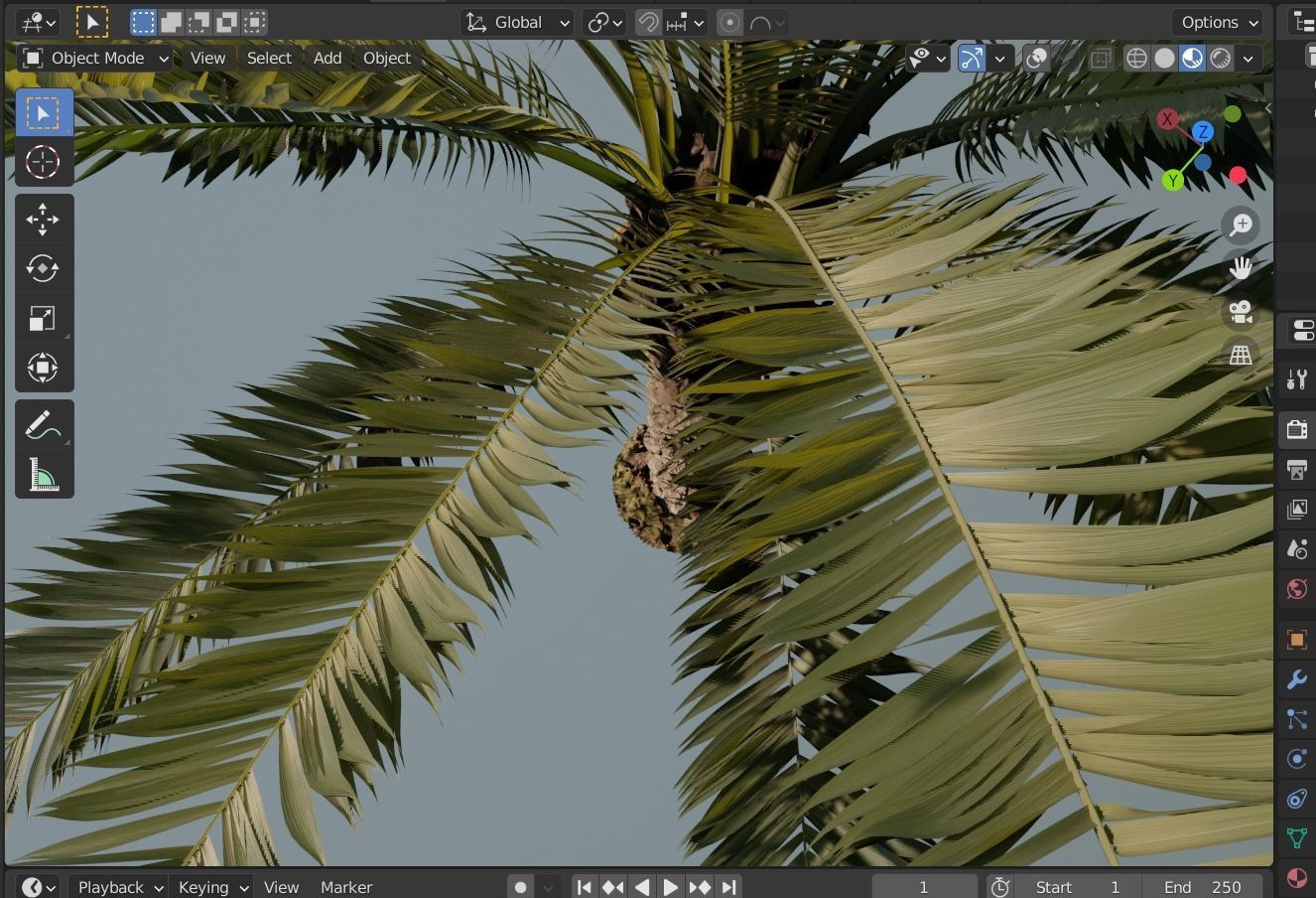 Phoenix Palm tree - variant02 - photoscan 3D model_16