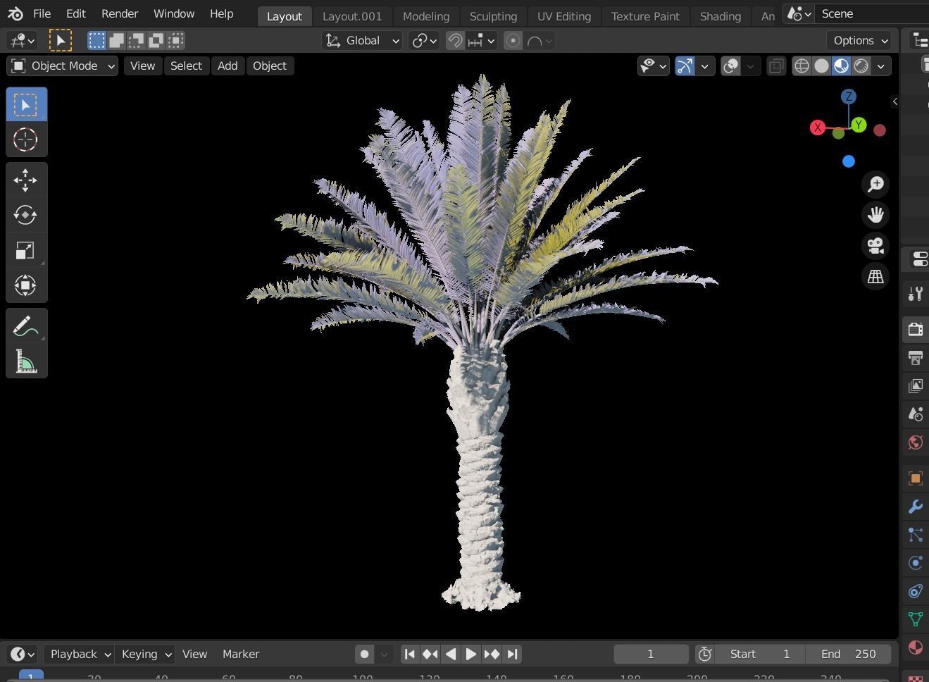Phoenix Palm tree - variant02 - photoscan 3D model_10