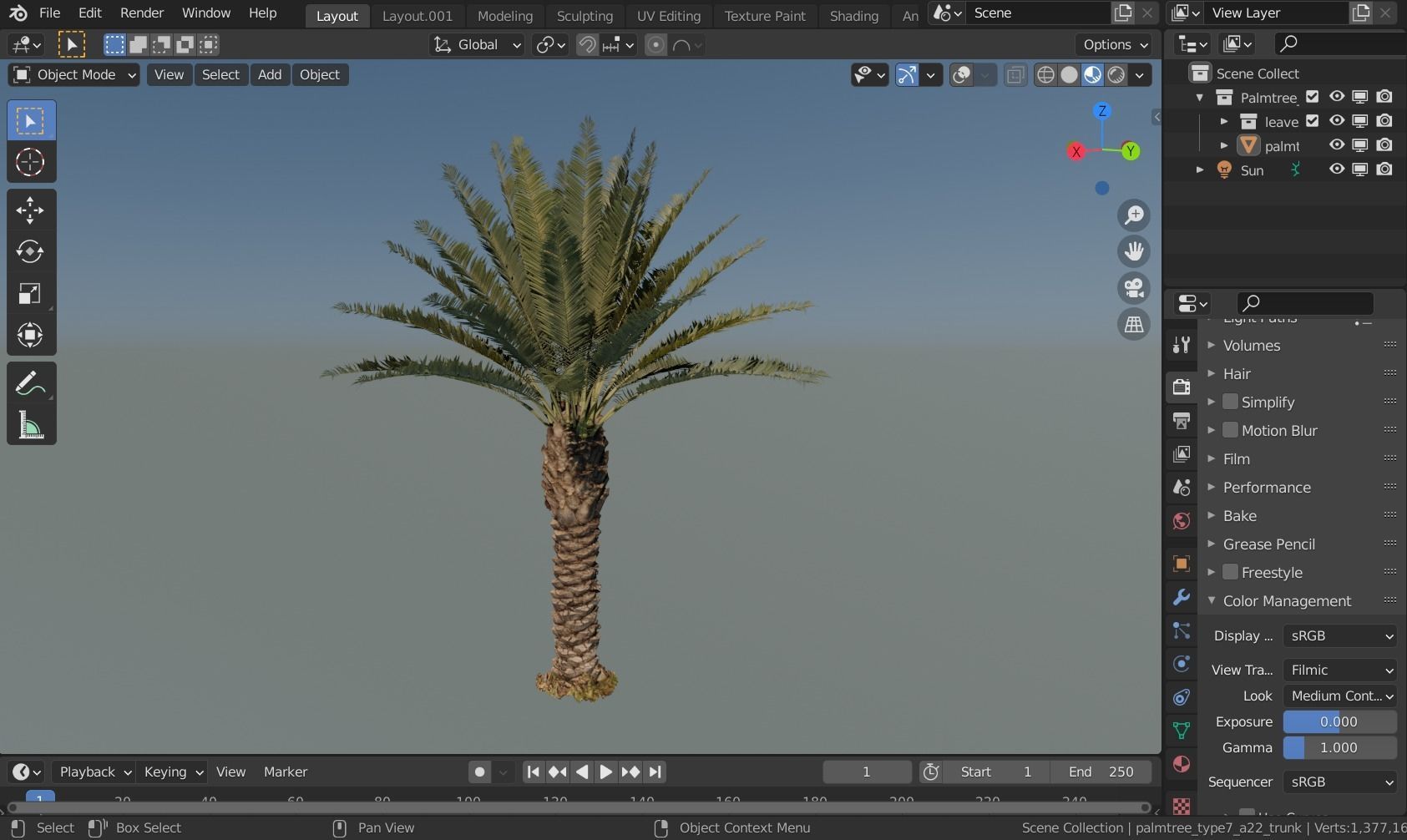 Phoenix Palm tree - variant02 - photoscan 3D model_4