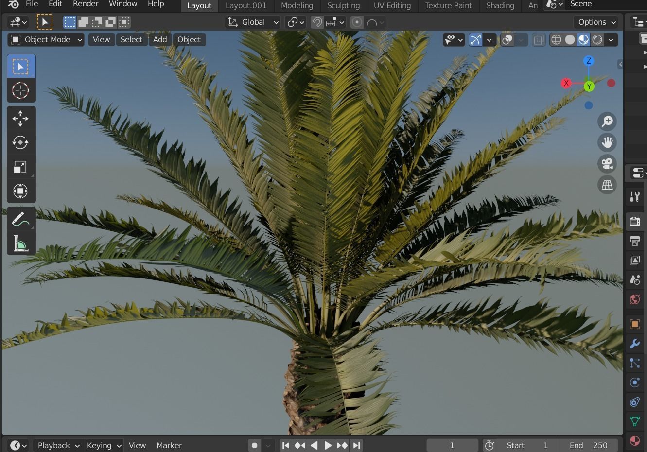 Phoenix Palm tree - variant02 - photoscan 3D model_17
