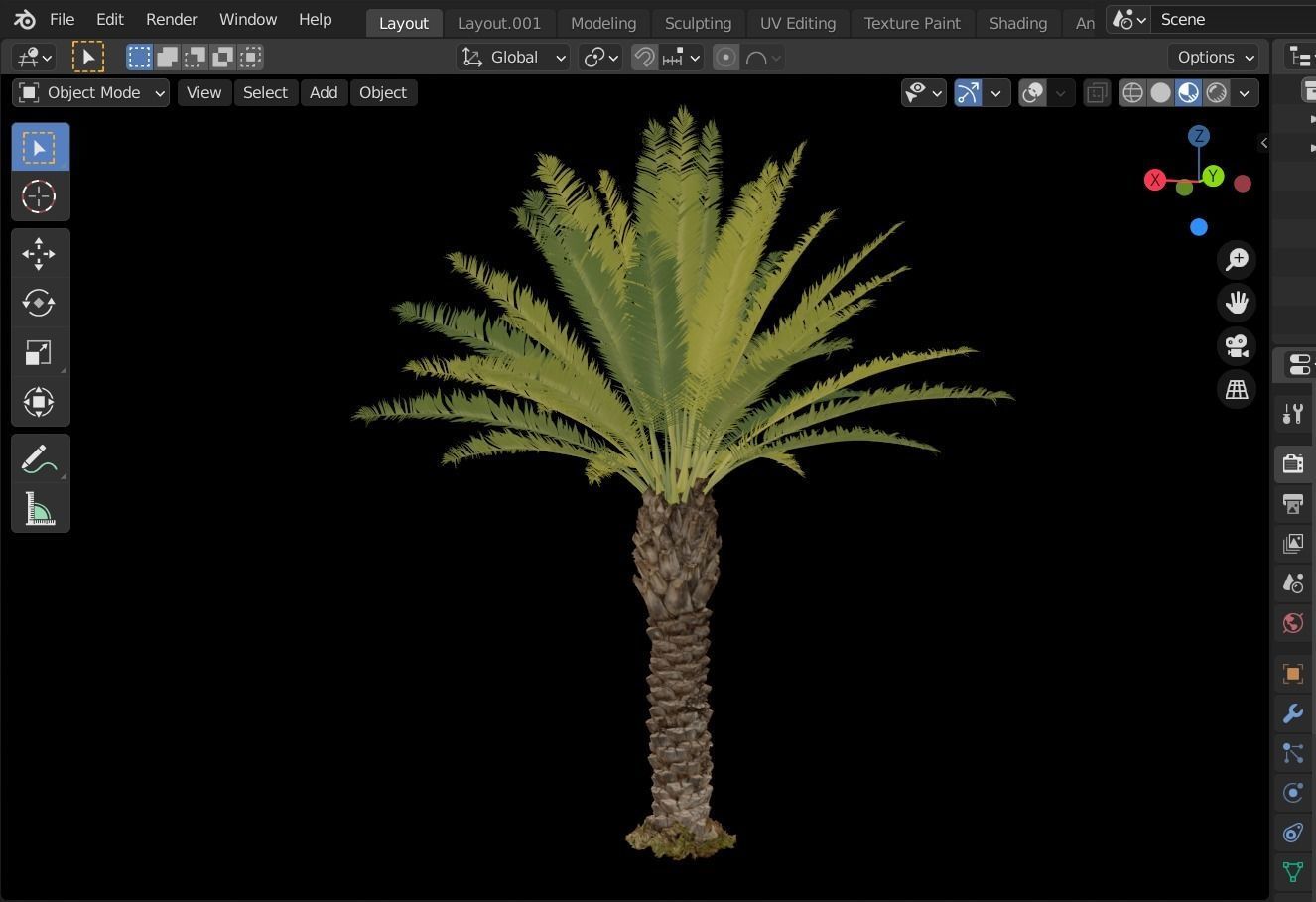 Phoenix Palm tree - variant02 - photoscan 3D model_9