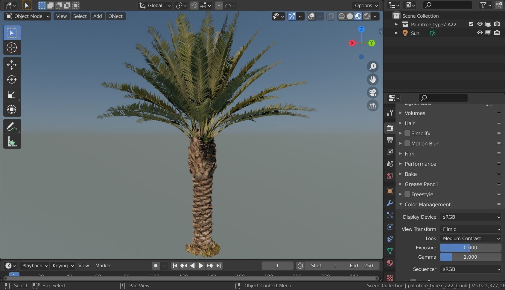 Phoenix Palm tree - variant02 - photoscan 3D model_5