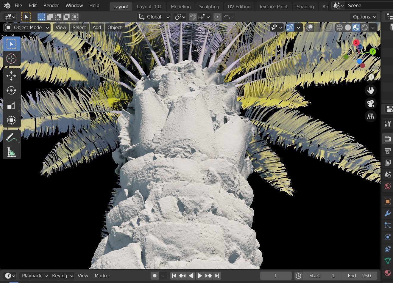 Phoenix Palm tree - variant02 - photoscan 3D model_11
