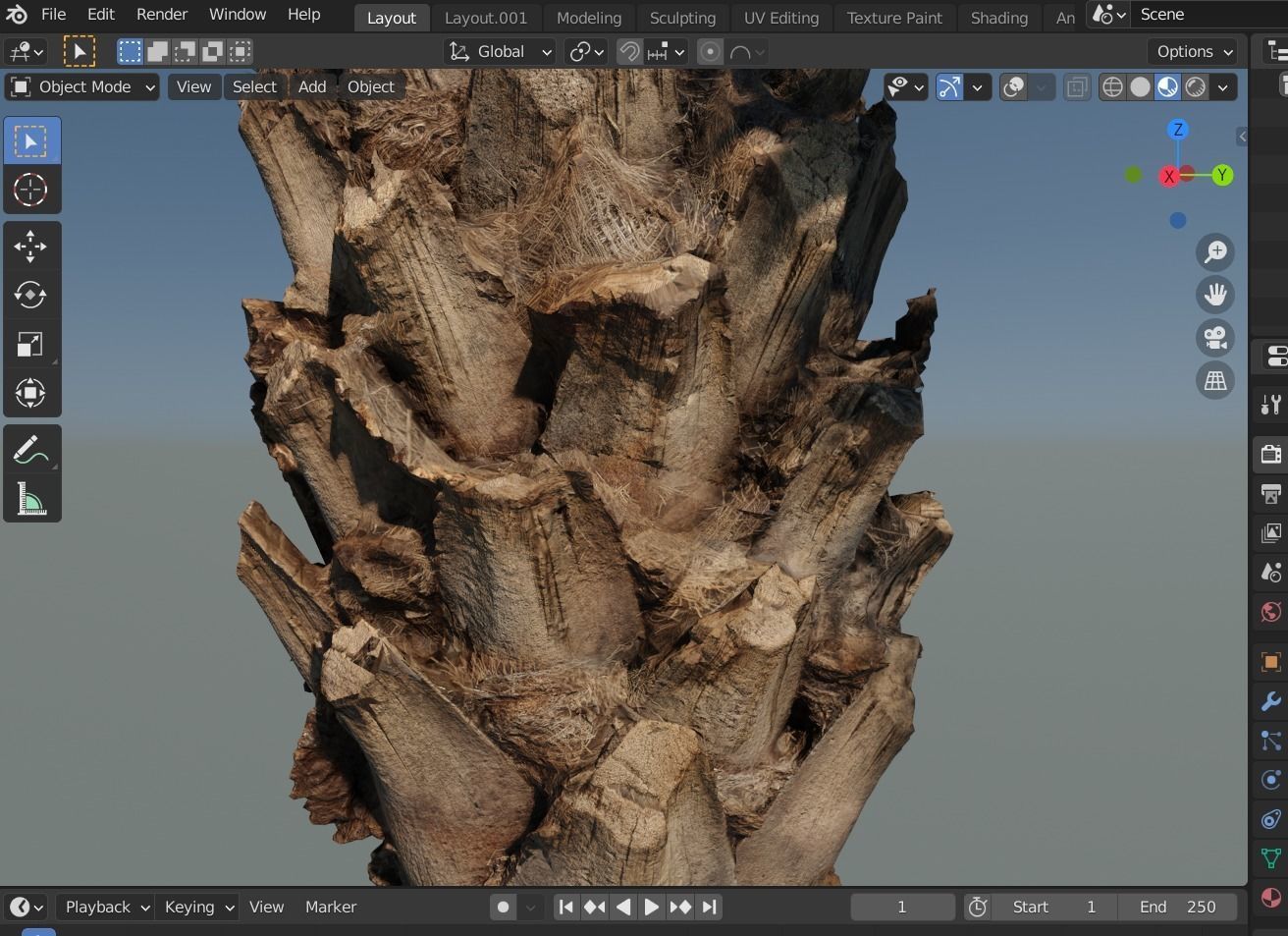 Phoenix Palm tree - variant02 - photoscan 3D model_15