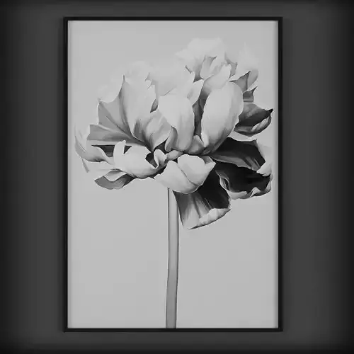Picture Frames Low-poly 3D model