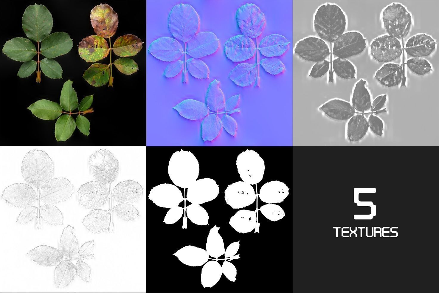 4K PBR Rosebush Photoscan atlas  Texture_1