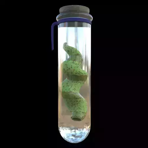 Organ Eater Worm Low-poly 3D model