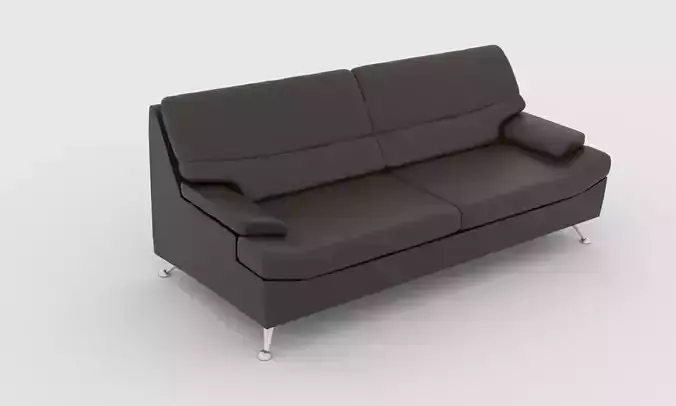 Couch leather sofa