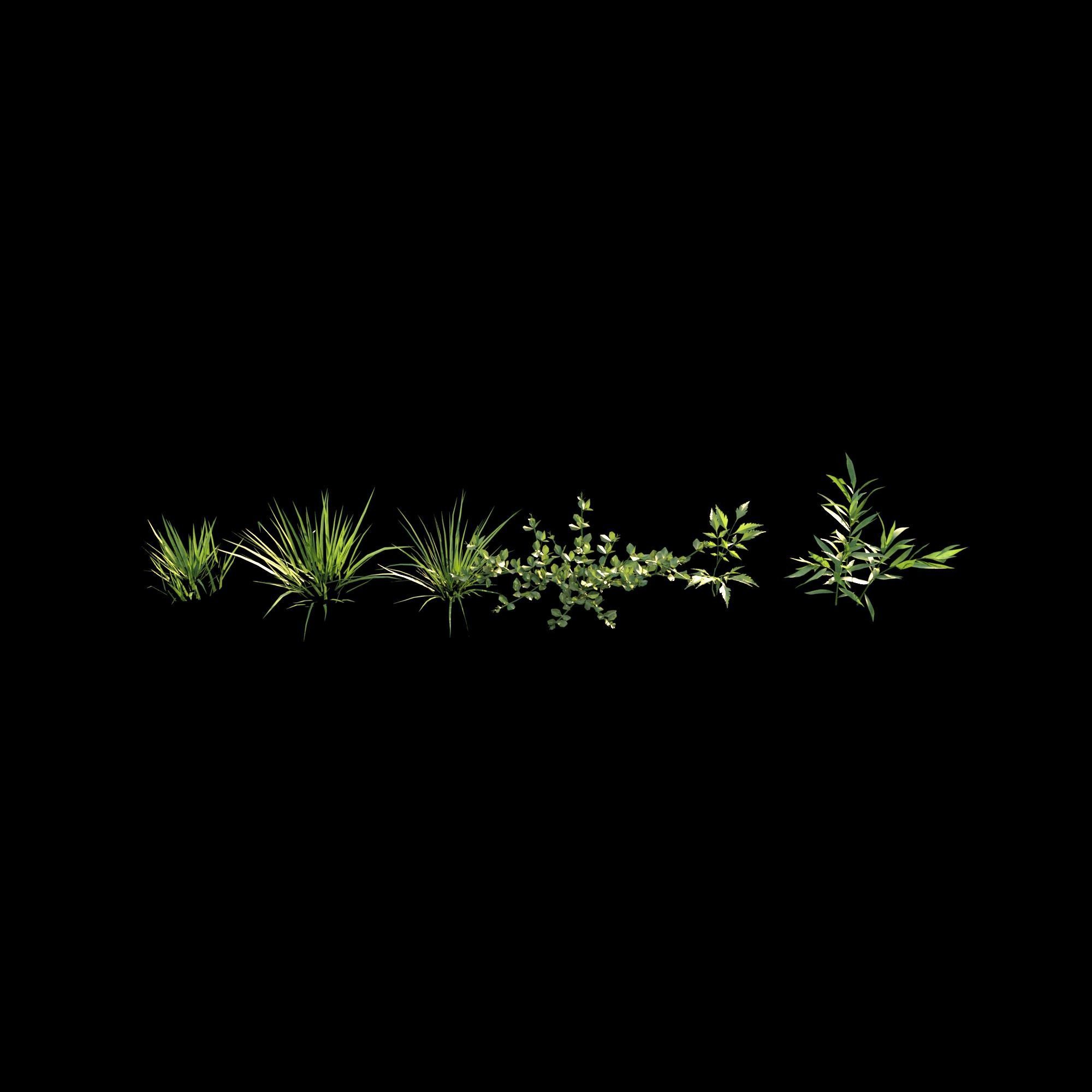 Grass 3D model_4