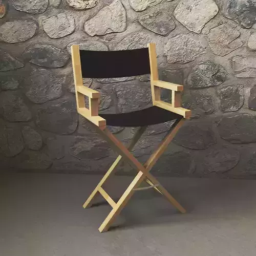 Director chair
