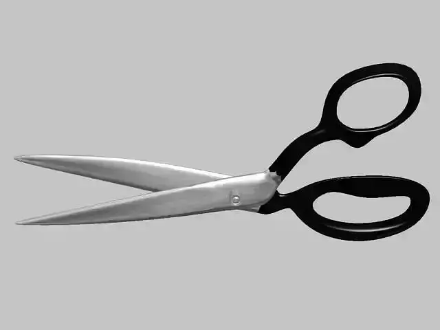 scissors pair of