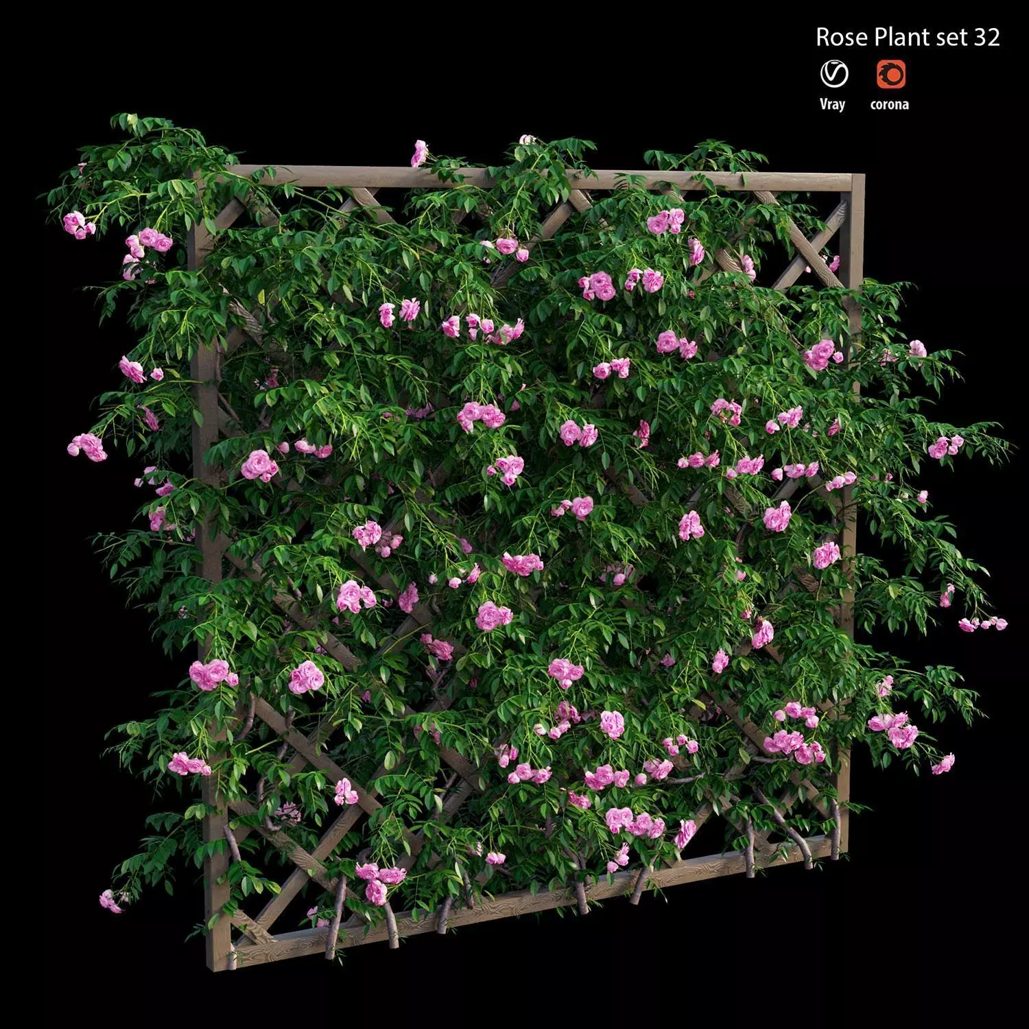 Rose plant set 32 3D model