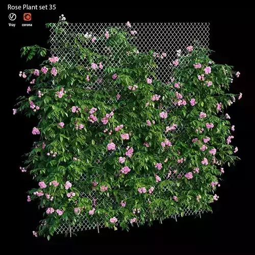 Rose plant set 35 3D model
