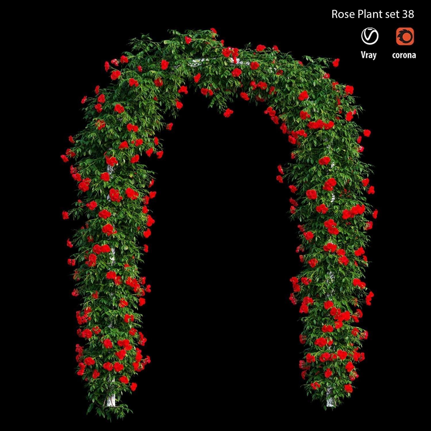 Rose plant set 38 3D model_3