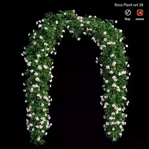 Rose plant set 38 3D model