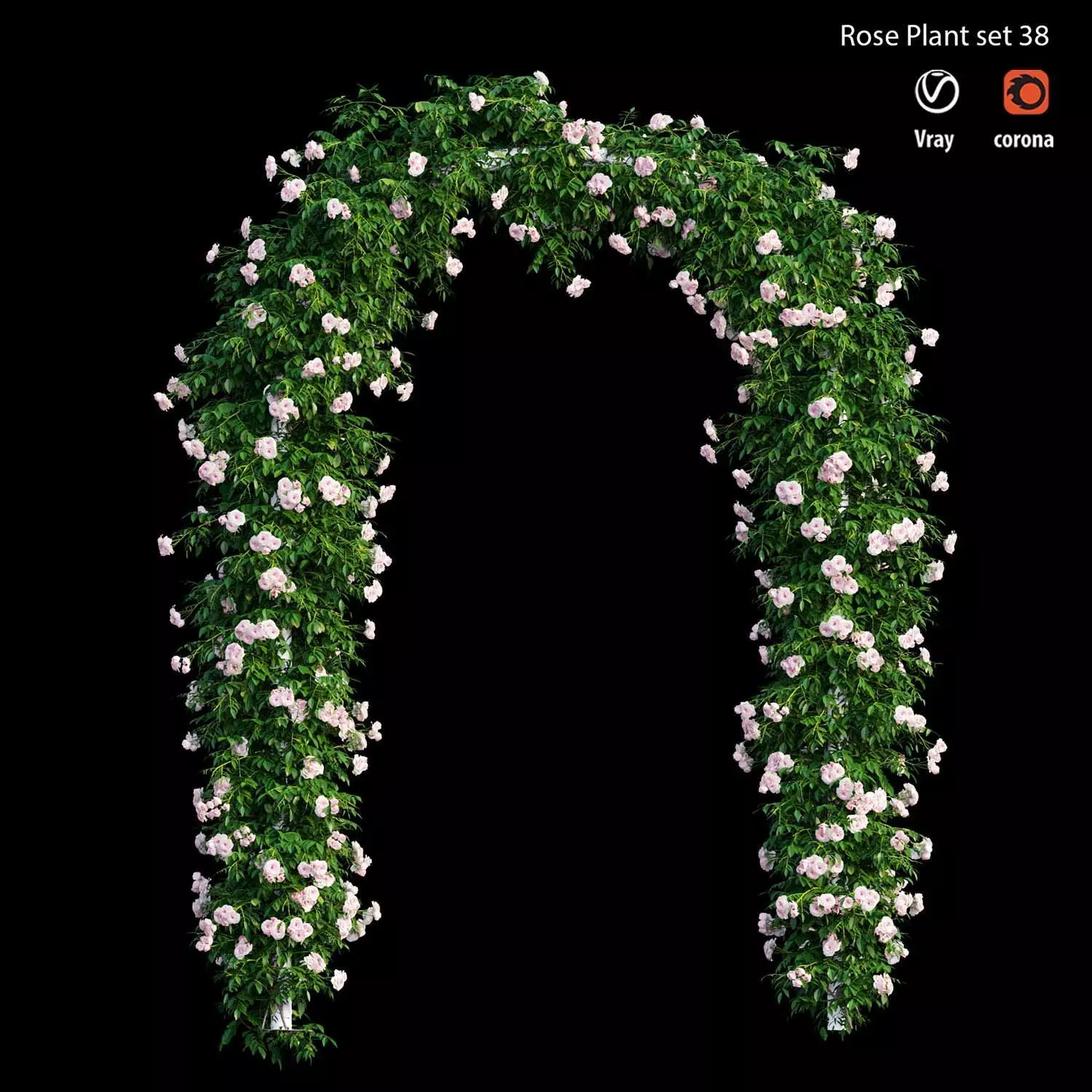 Rose plant set 38 3D model_0