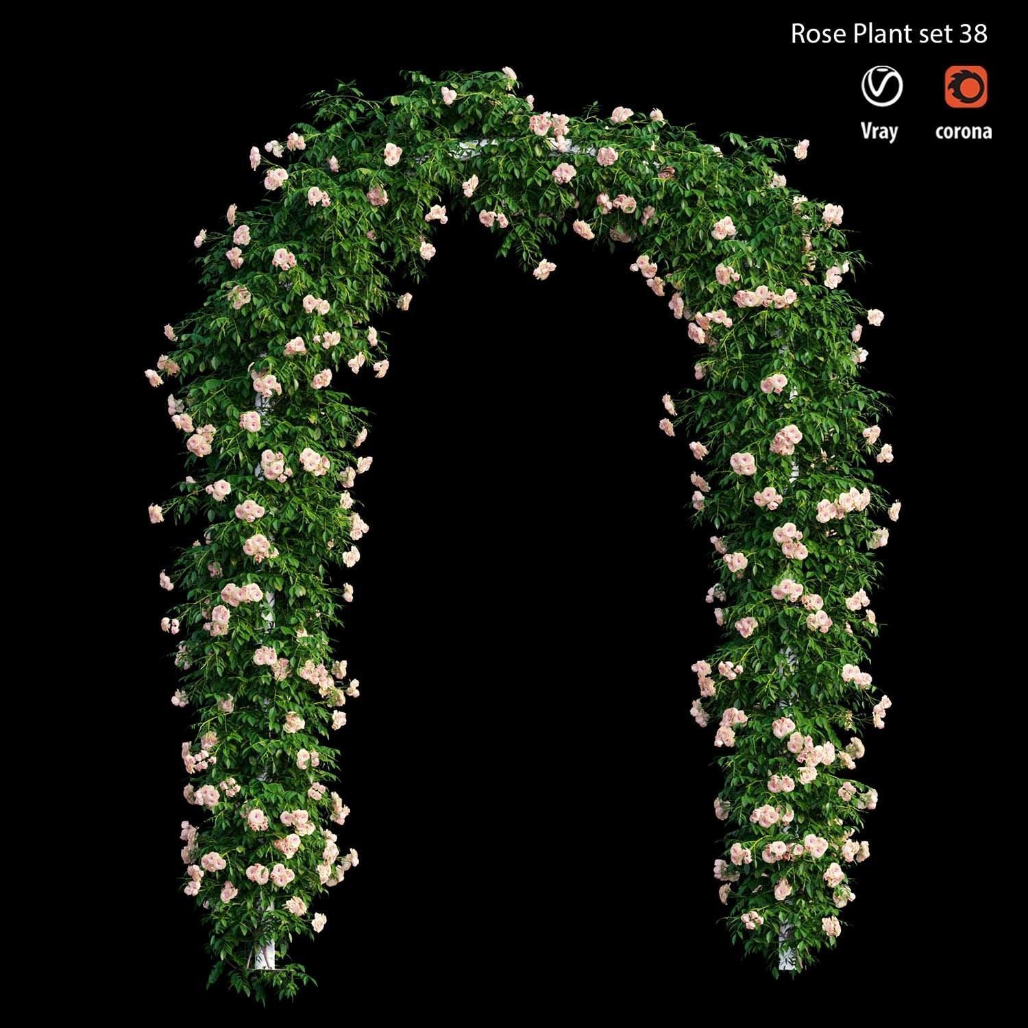 Rose plant set 38 3D model_2