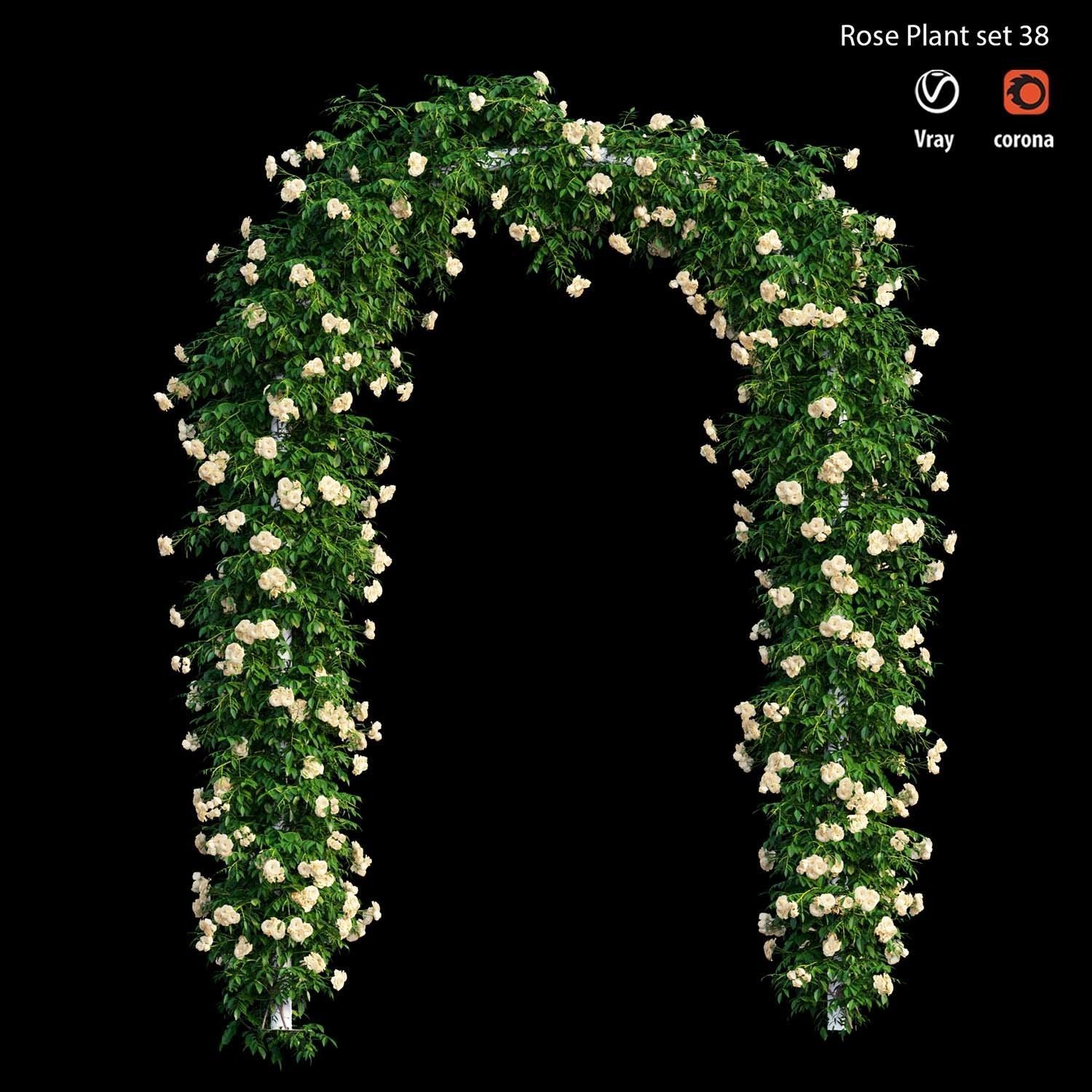 Rose plant set 38 3D model_4