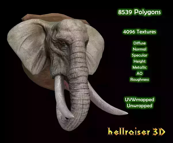 Elephant Head - PBR - Textured