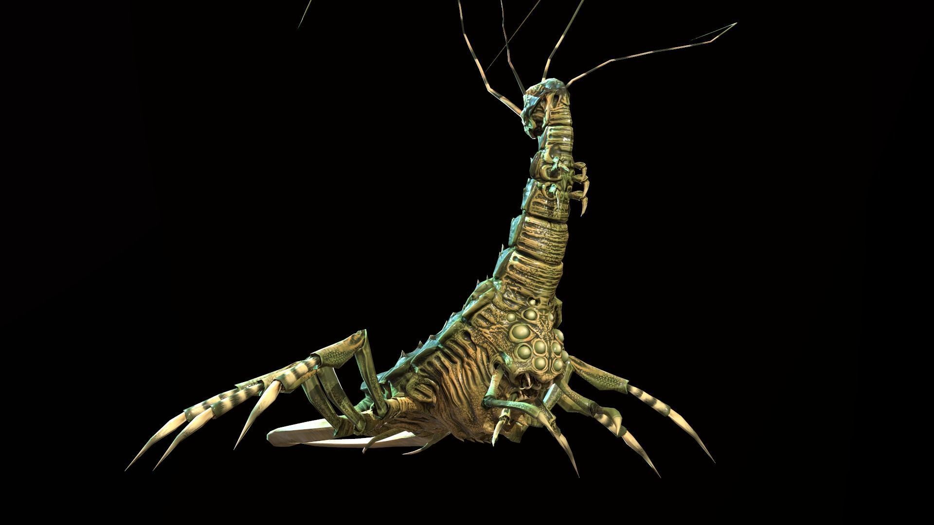 LandBug4 shrimp Low-poly 3D model_12